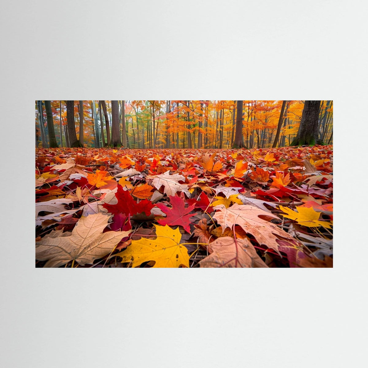 Autumn Forest Floor Canvas