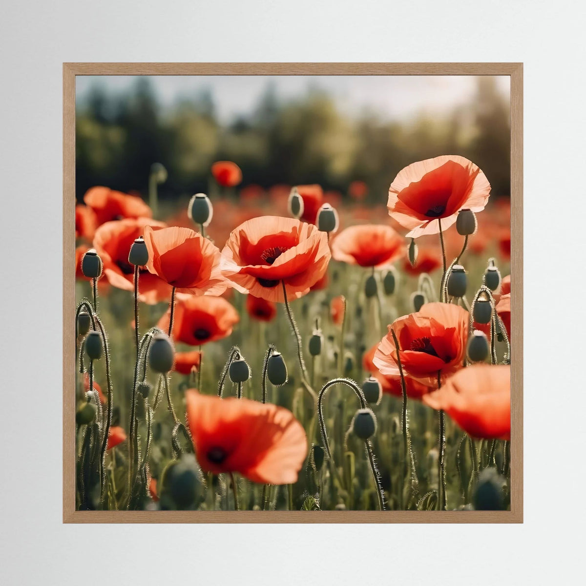 Poppy Field Print
