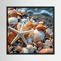 Sea Shells Print
