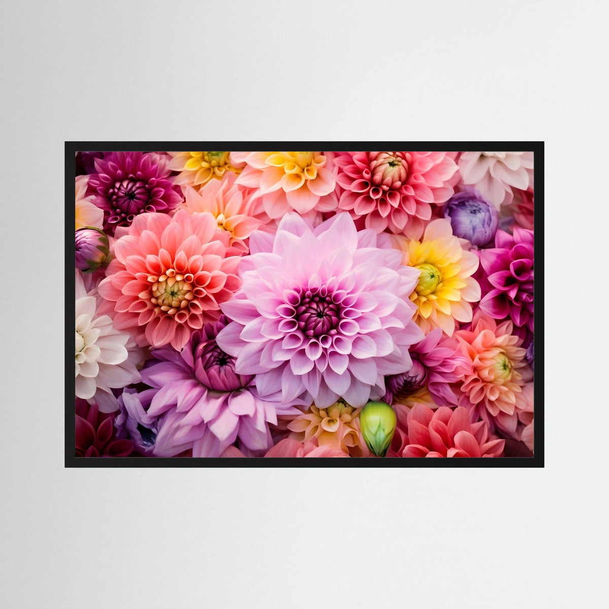 Dahlia Burst Print