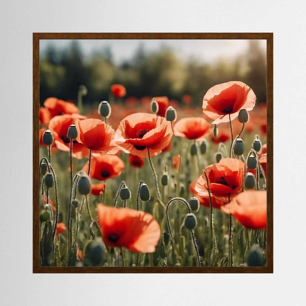 Poppy Field Print