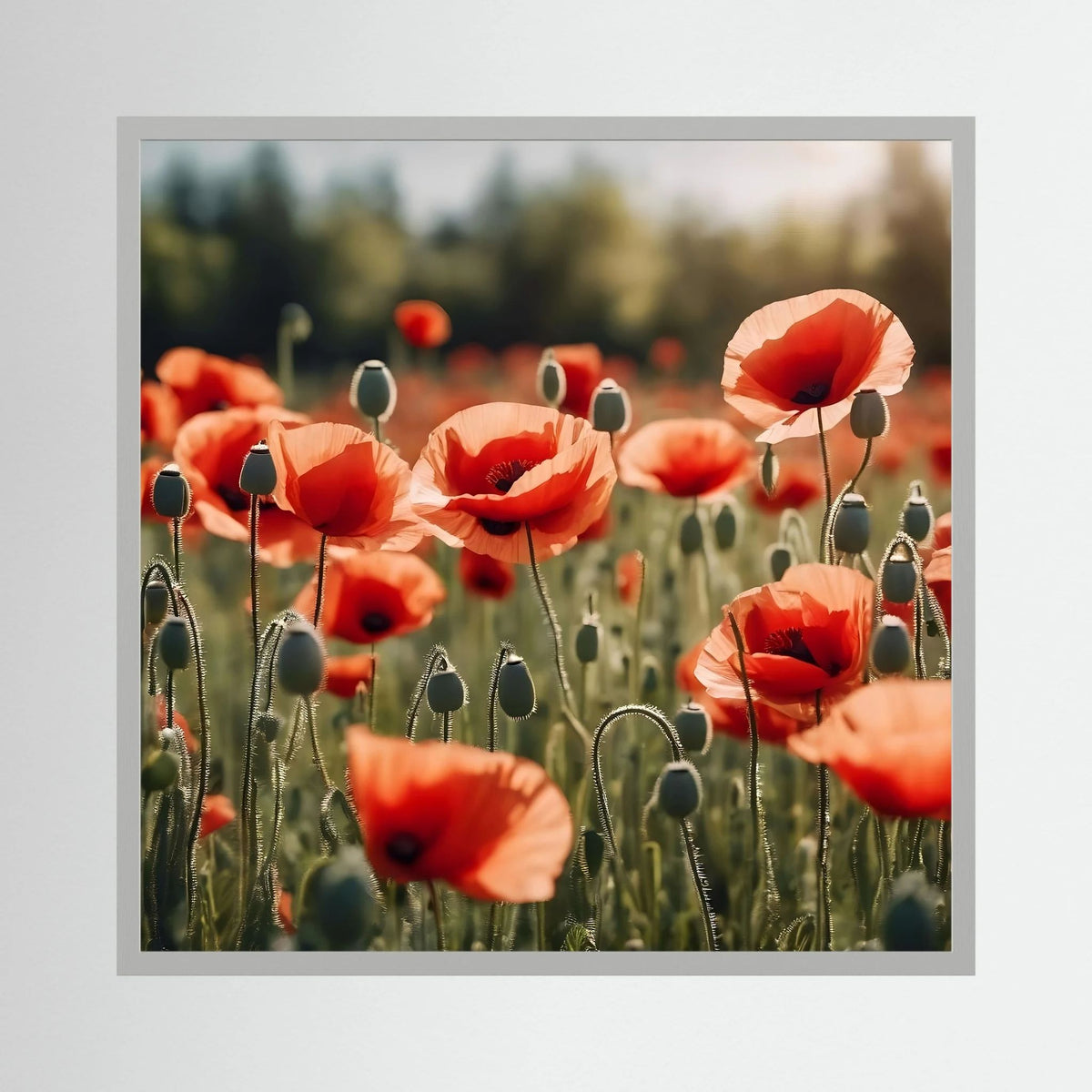 Poppy Field Print