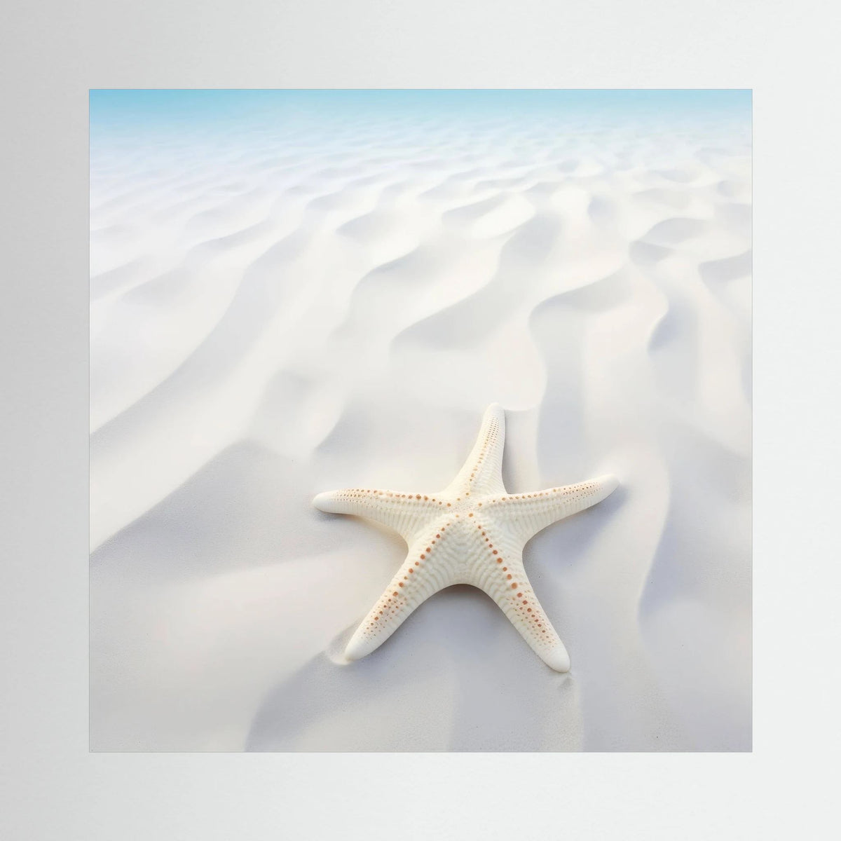 White Sand Beech Canvas