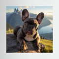 French Bull Dog Canvas