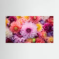 Dahlia Burst Canvas