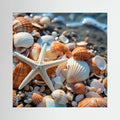 Sea Shells Canvas