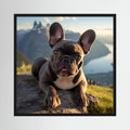 French Bull Dog Print